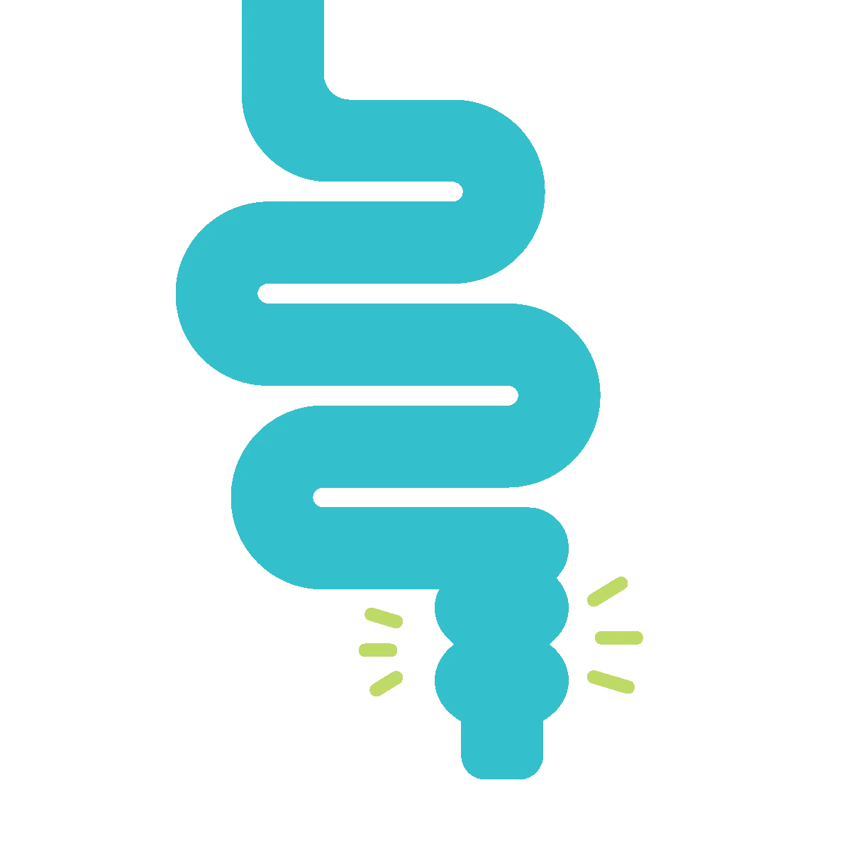 Gut Health